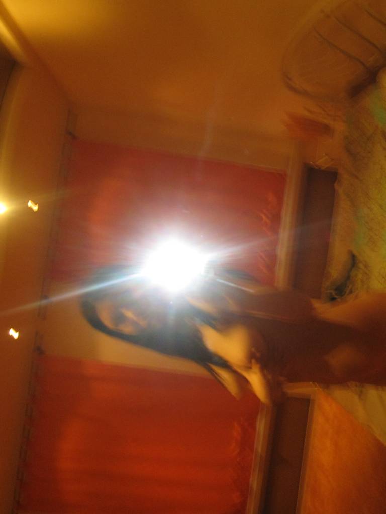 Photo de Bidelia